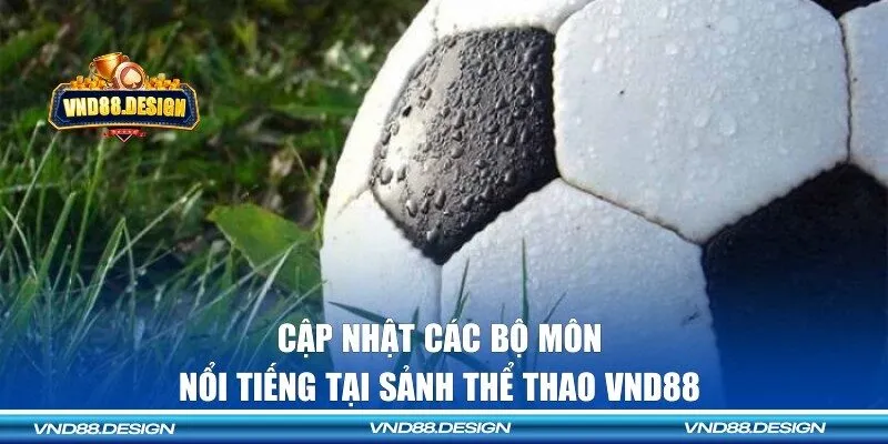 Các bộ môn nổi tiếng mà bạn nên biết