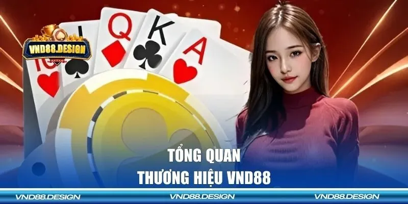 Tổng quan về thương hiệu VND88