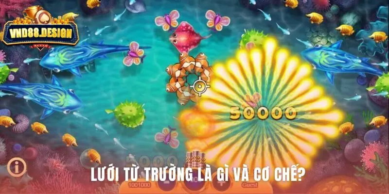 Magnetic Net hoạt động bằng cách gom cá vào tâm điểm